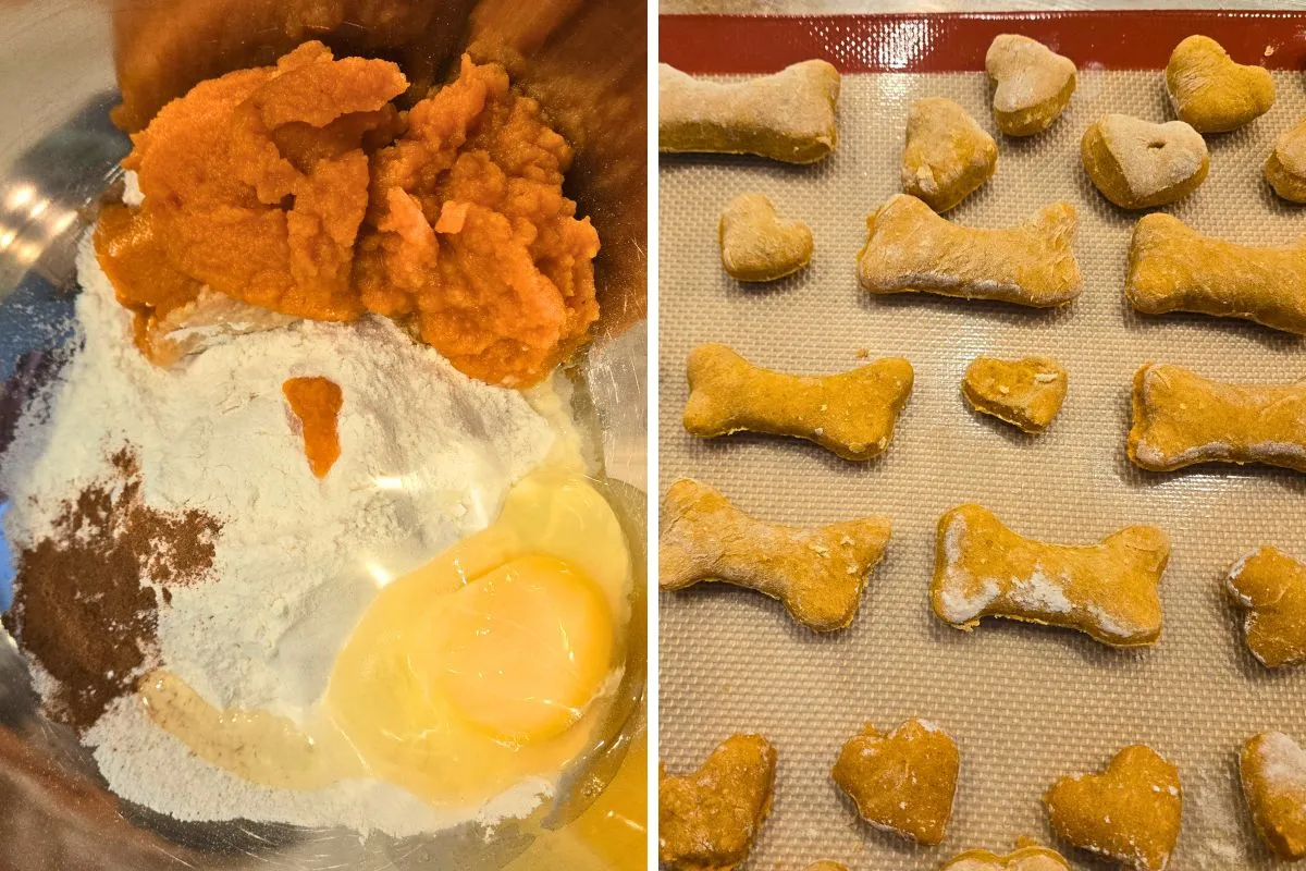 Pumpkin homemade dog biscuits in various shapes, bone and heart, being prepared, with ingredients like pumpkin puree, flour, and egg in a bowl, ready to bake.
