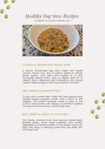 Printable recipe sheet titled “Healthy Dog Stew Recipes” with a photo of chicken and veggie stew and three slow cooker recipes using wholesome ingredients like rice, beef, and pumpkin.